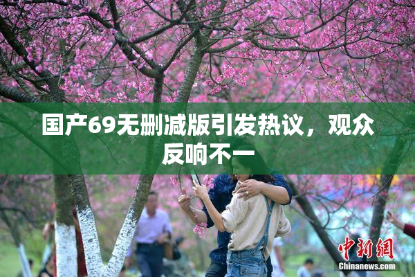 国产69无删减版引发热议，观众反响不一