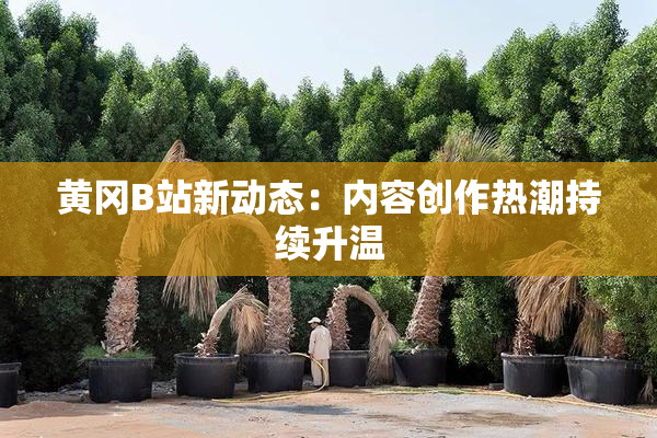黄冈B站新动态：内容创作热潮持续升温