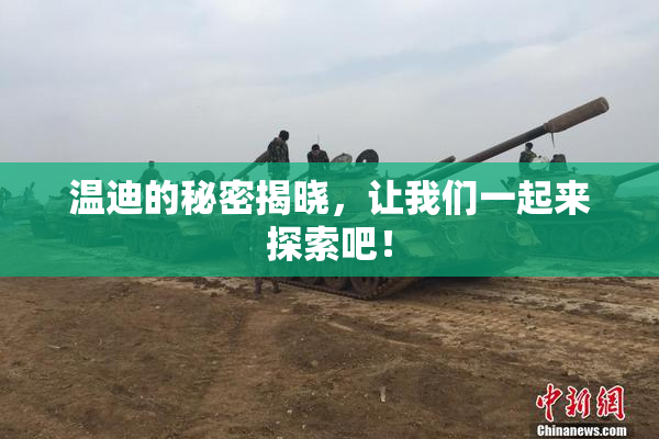 温迪的秘密揭晓，让我们一起来探索吧！