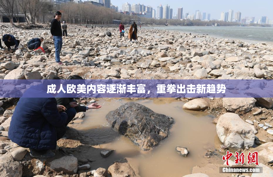 成人欧美内容逐渐丰富，重拳出击新趋势