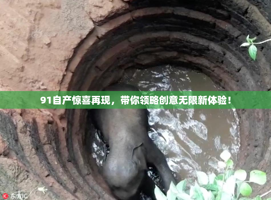 91自产惊喜再现，带你领略创意无限新体验！