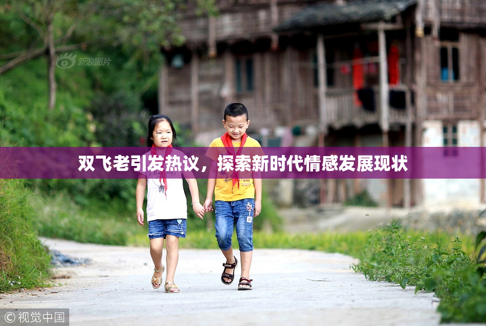双飞老引发热议，探索新时代情感发展现状