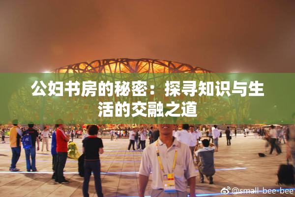 公妇书房的秘密：探寻知识与生活的交融之道