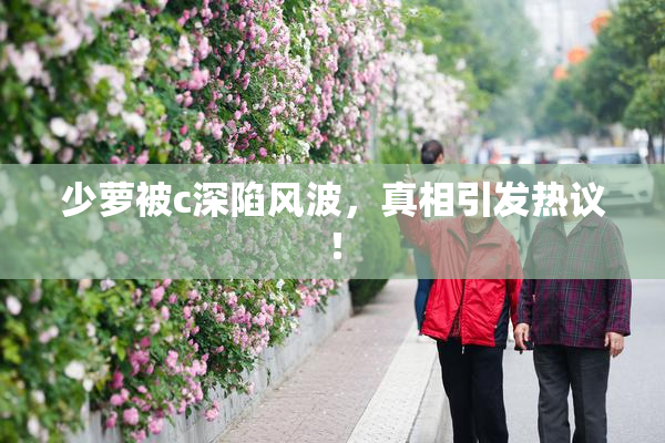 少萝被c深陷风波，真相引发热议！