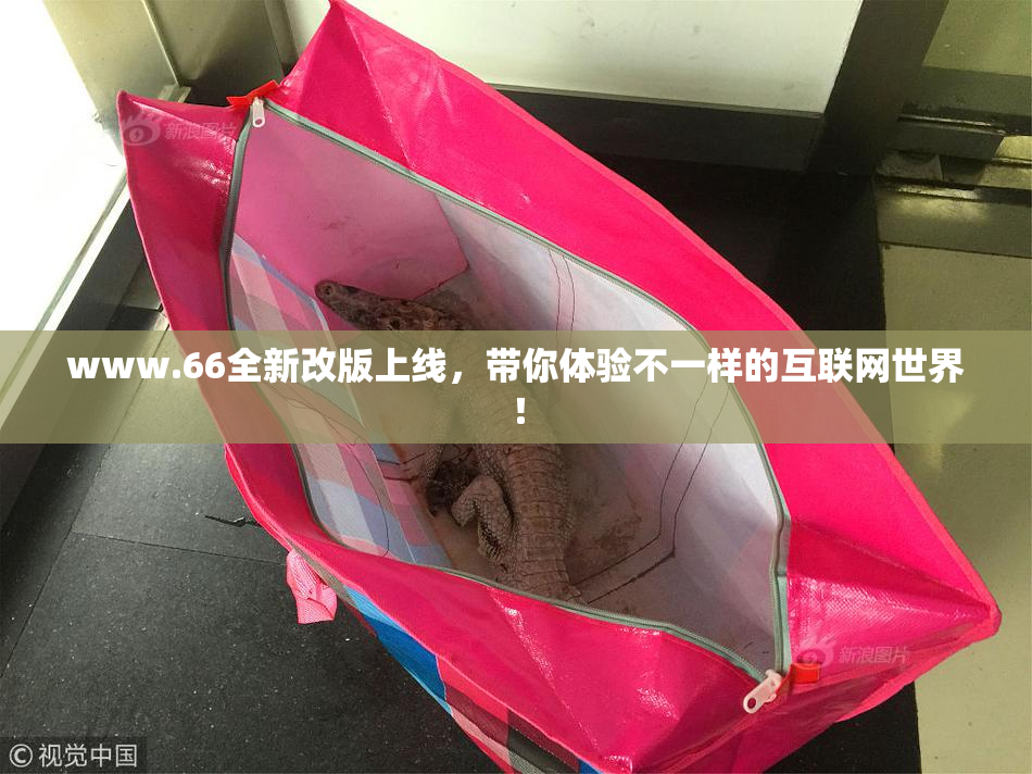 www.66全新改版上线，带你体验不一样的互联网世界！