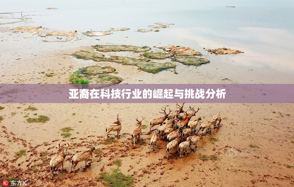亚裔在科技行业的崛起与挑战分析
