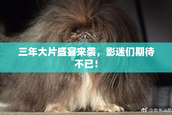三年大片盛宴来袭，影迷们期待不已！