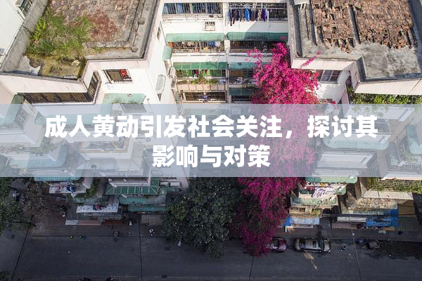 成人黄动引发社会关注，探讨其影响与对策