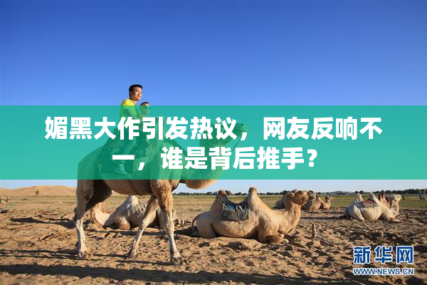 媚黑大作引发热议，网友反响不一，谁是背后推手？