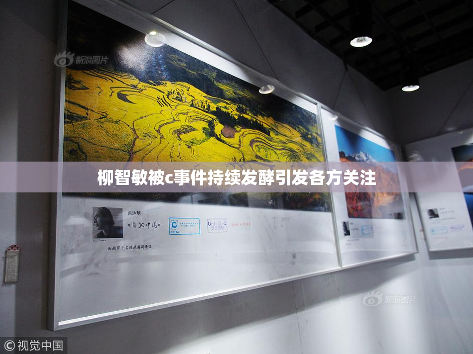 柳智敏被c事件持续发酵引发各方关注