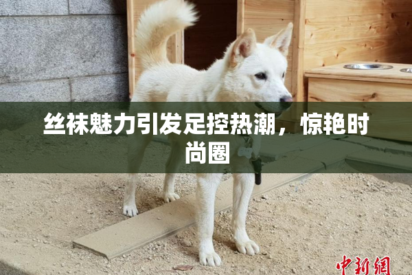 丝袜魅力引发足控热潮，惊艳时尚圈