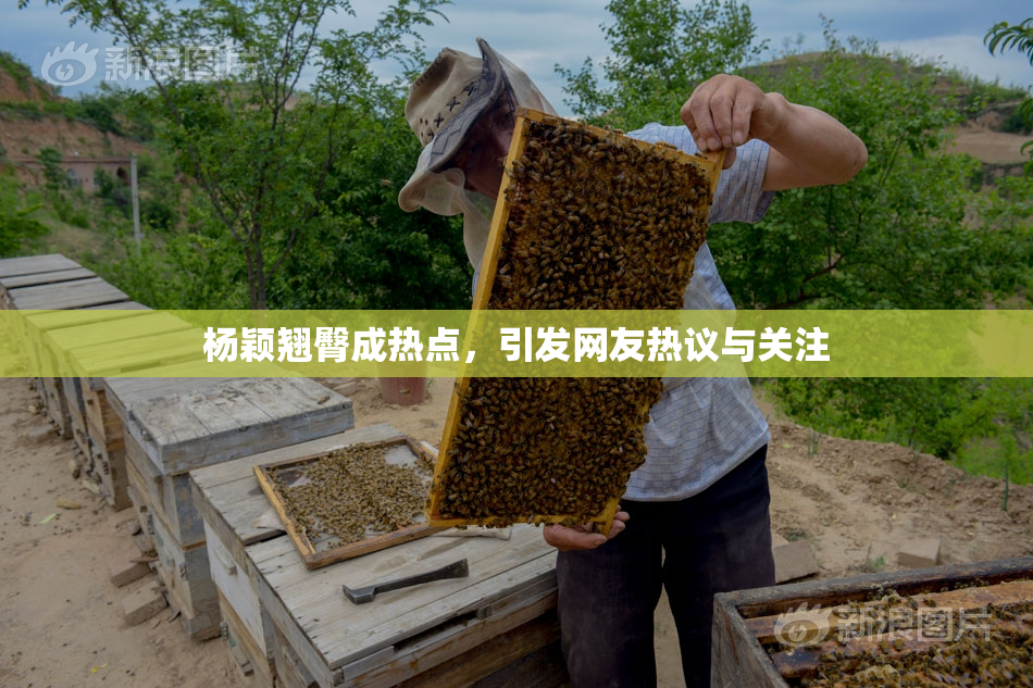 杨颖翘臀成热点，引发网友热议与关注