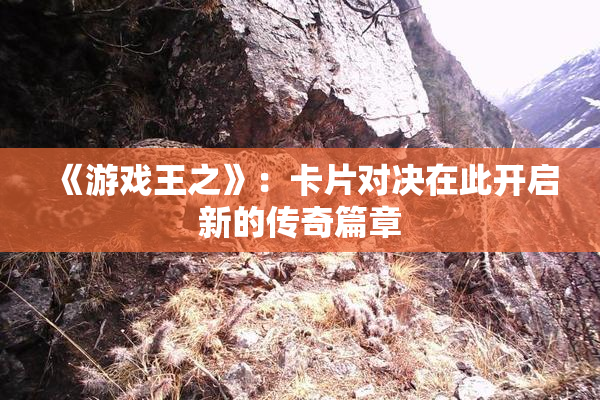 《游戏王之》：卡片对决在此开启新的传奇篇章