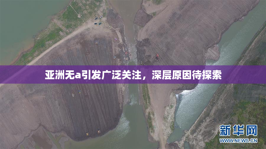 亚洲无a引发广泛关注，深层原因待探索
