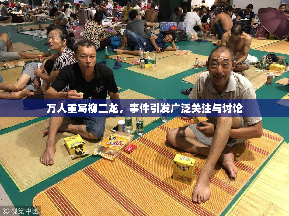 万人重写柳二龙，事件引发广泛关注与讨论