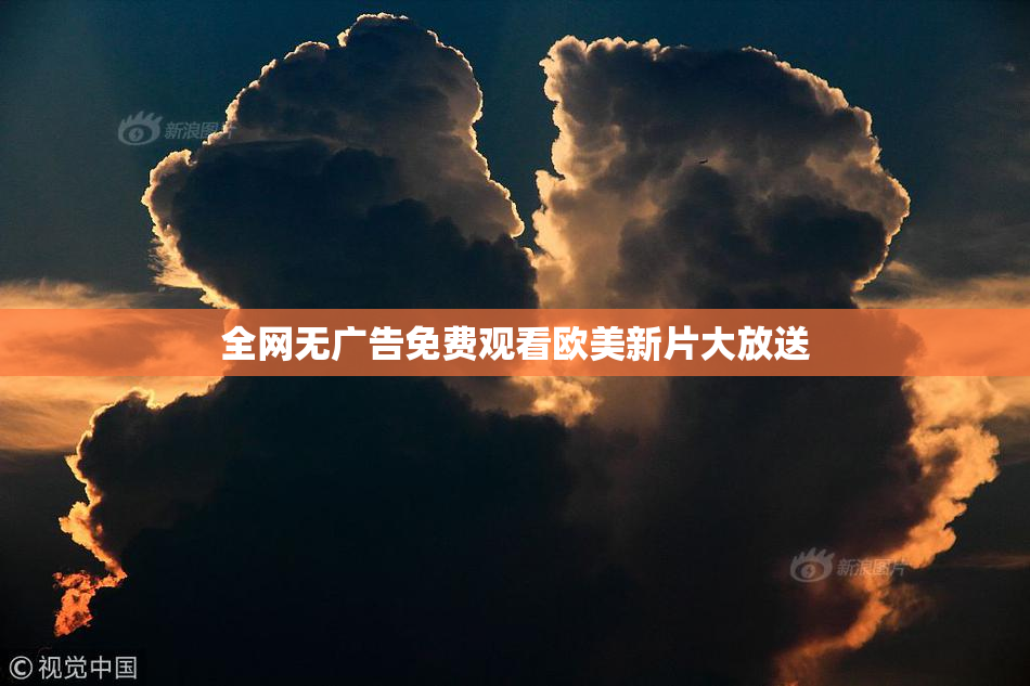 全网无广告免费观看欧美新片大放送