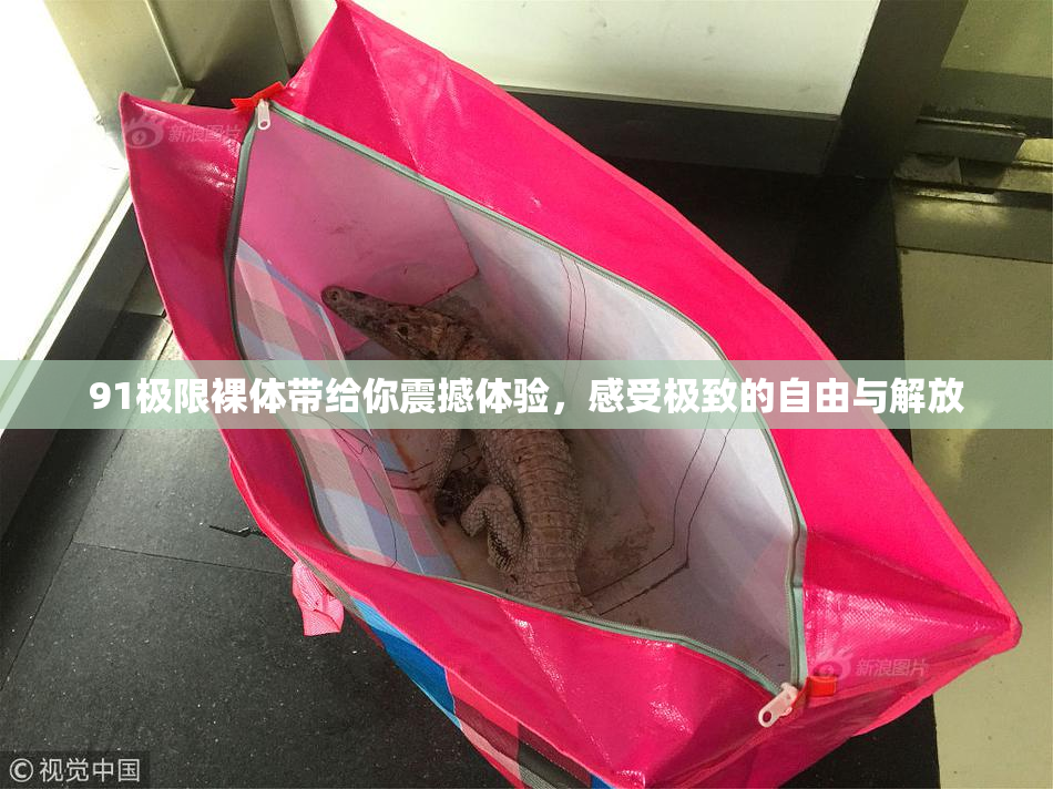 91极限裸体带给你震撼体验，感受极致的自由与解放