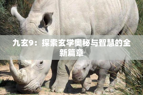 九玄9：探索玄学奥秘与智慧的全新篇章