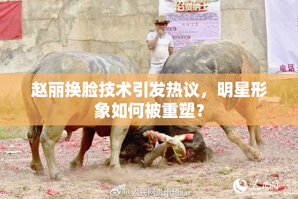 赵丽换脸技术引发热议，明星形象如何被重塑？