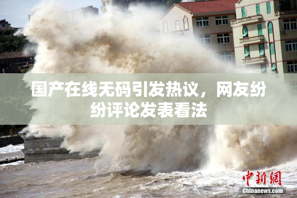国产在线无码引发热议，网友纷纷评论发表看法