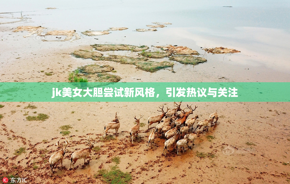 jk美女大胆尝试新风格，引发热议与关注