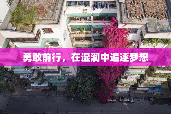 勇敢前行，在湿润中追逐梦想