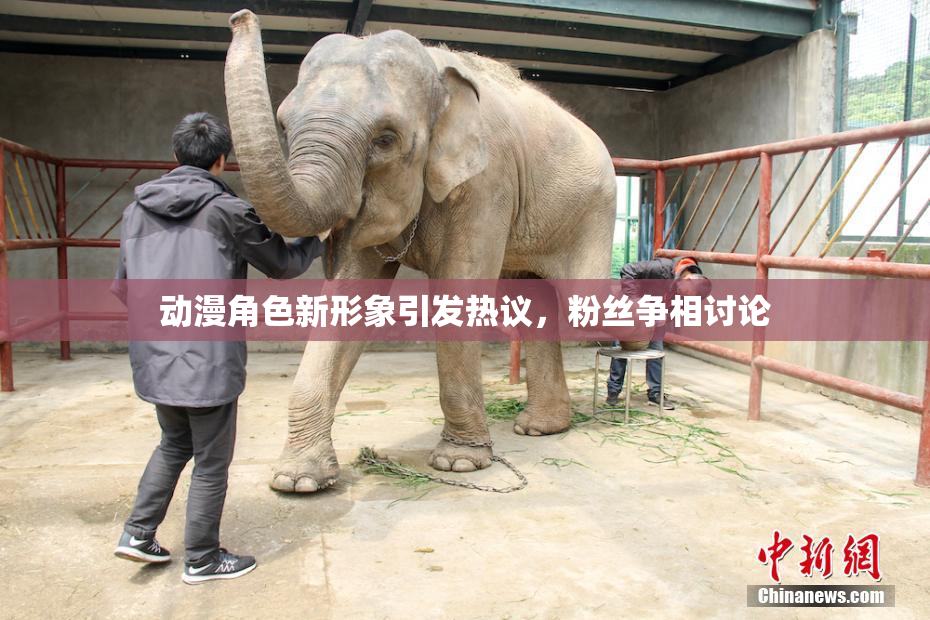 动漫角色新形象引发热议，粉丝争相讨论