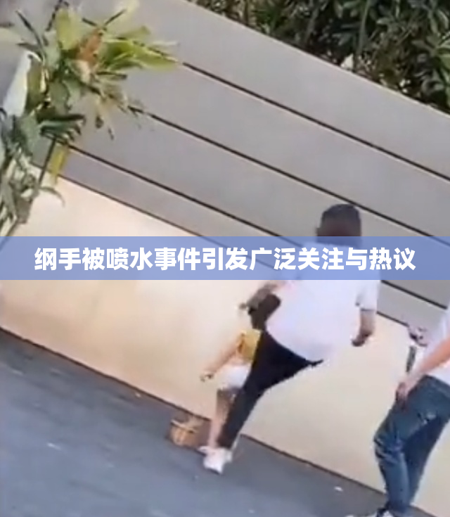 纲手被喷水事件引发广泛关注与热议