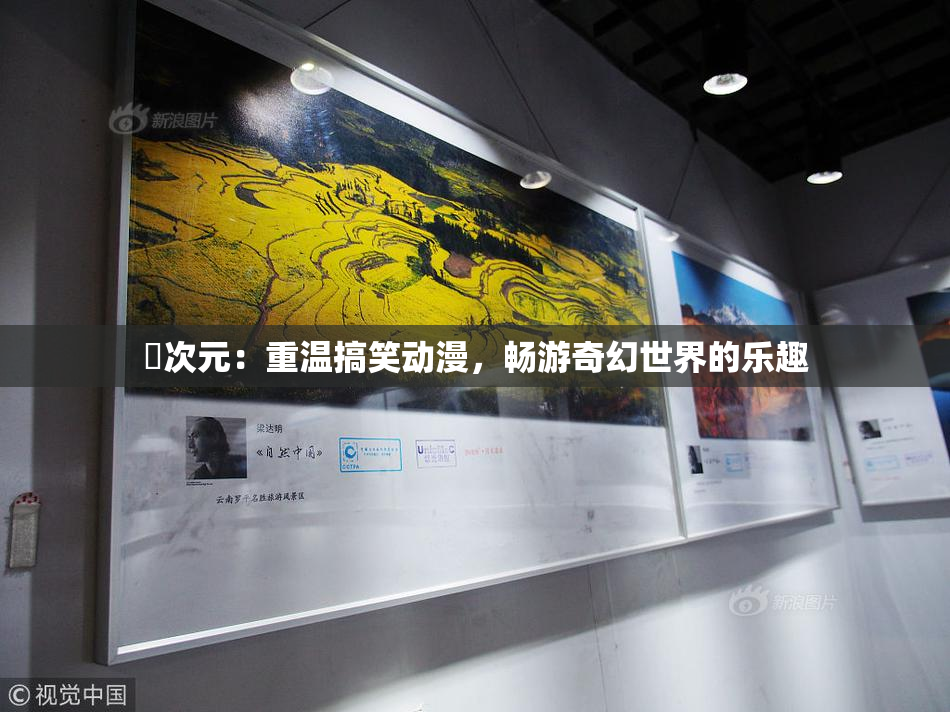 囧次元：重温搞笑动漫，畅游奇幻世界的乐趣
