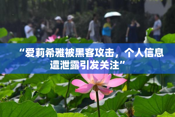 “爱莉希雅被黑客攻击，个人信息遭泄露引发关注”