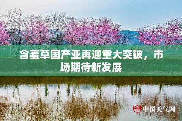 含羞草国产亚再迎重大突破，市场期待新发展
