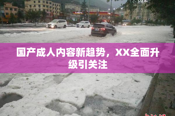 国产成人内容新趋势，XX全面升级引关注
