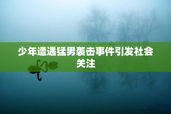 少年遭遇猛男袭击事件引发社会关注
