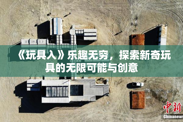 《玩具入》乐趣无穷，探索新奇玩具的无限可能与创意