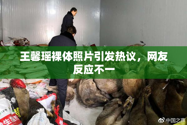 王馨瑶裸体照片引发热议，网友反应不一