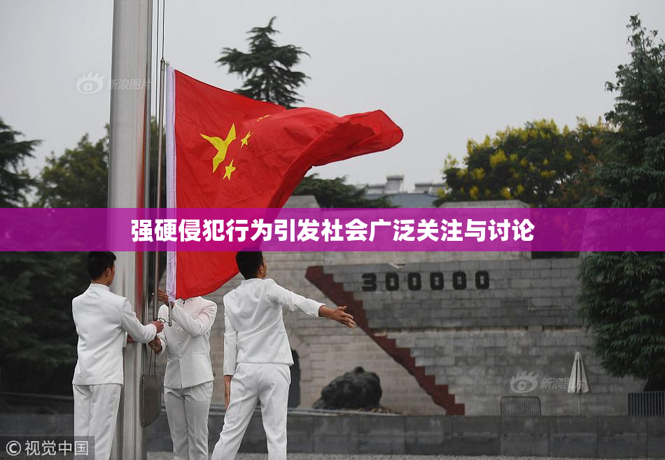 强硬侵犯行为引发社会广泛关注与讨论