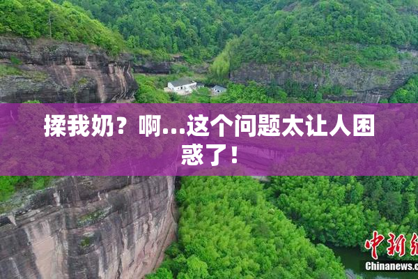 揉我奶？啊…这个问题太让人困惑了！