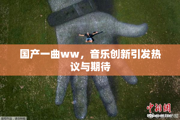 国产一曲ww，音乐创新引发热议与期待