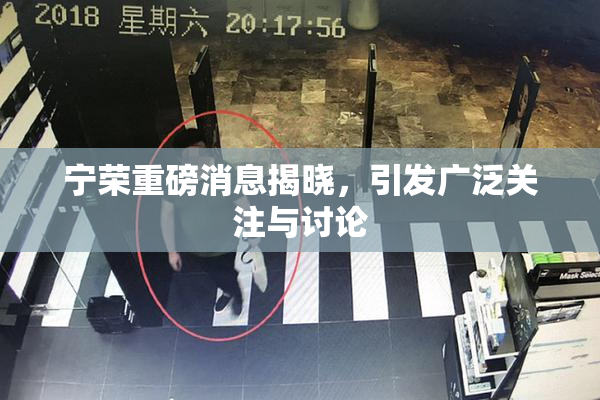 宁荣重磅消息揭晓，引发广泛关注与讨论