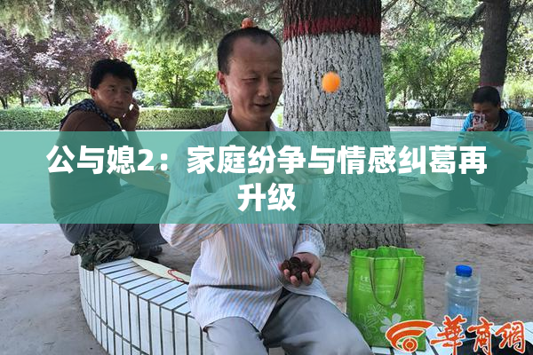 公与媳2：家庭纷争与情感纠葛再升级