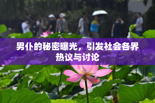 男仆的秘密曝光，引发社会各界热议与讨论