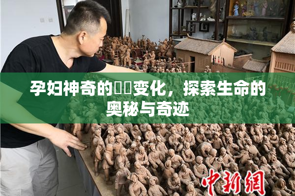 孕妇神奇的乂乄变化，探索生命的奥秘与奇迹