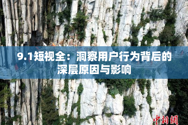 9.1短视全：洞察用户行为背后的深层原因与影响