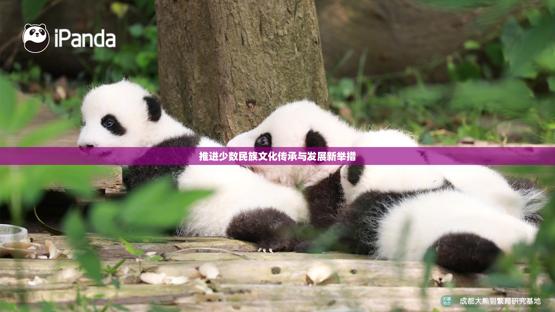 推进少数民族文化传承与发展新举措