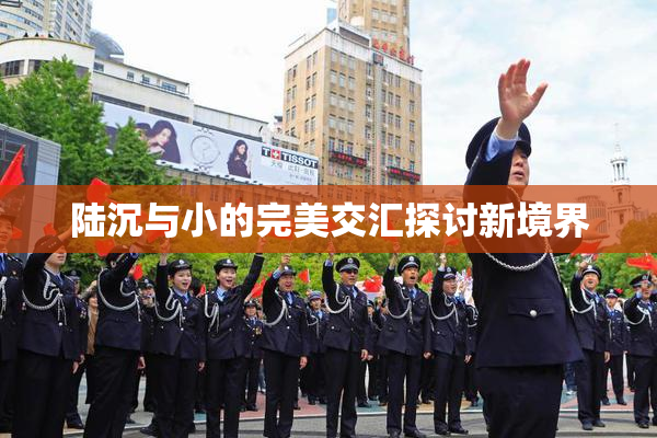 陆沉与小的完美交汇探讨新境界