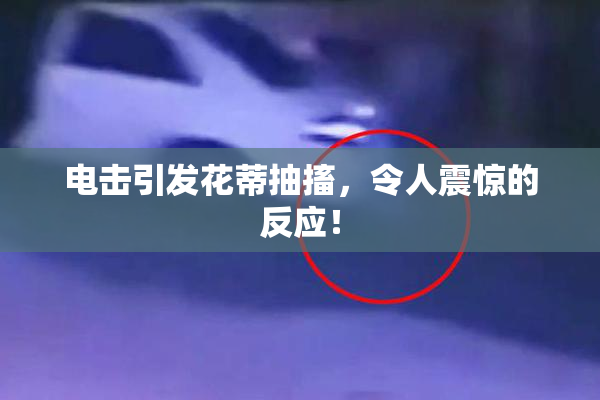 电击引发花蒂抽搐，令人震惊的反应！