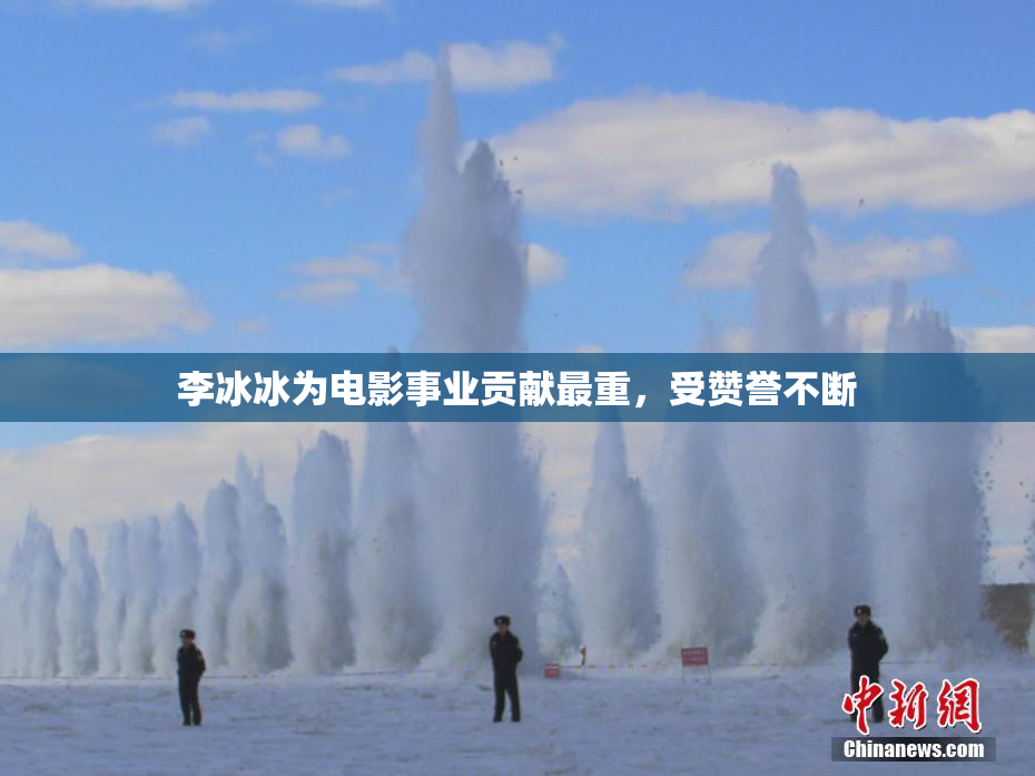 李冰冰为电影事业贡献最重，受赞誉不断