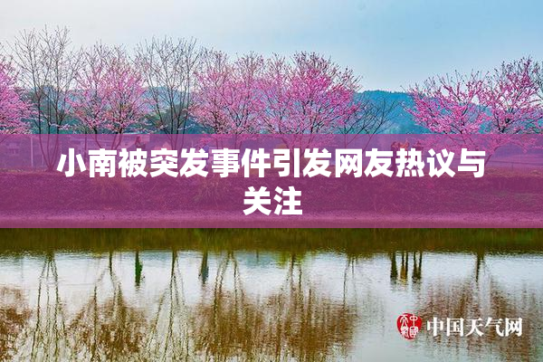 小南被突发事件引发网友热议与关注