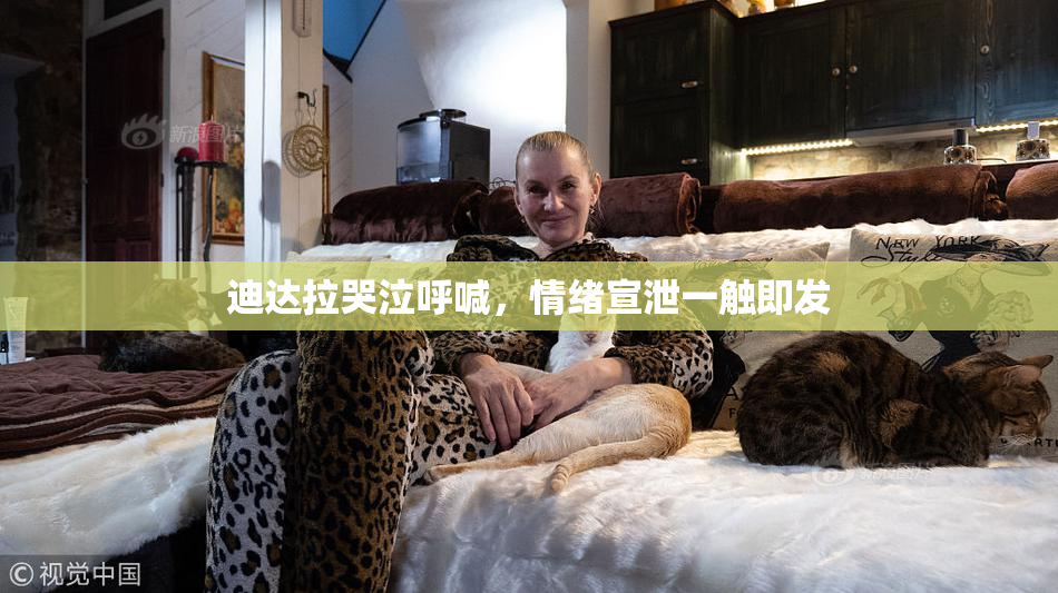 迪达拉哭泣呼喊，情绪宣泄一触即发
