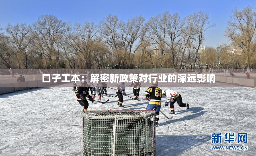 口子工本：解密新政策对行业的深远影响
